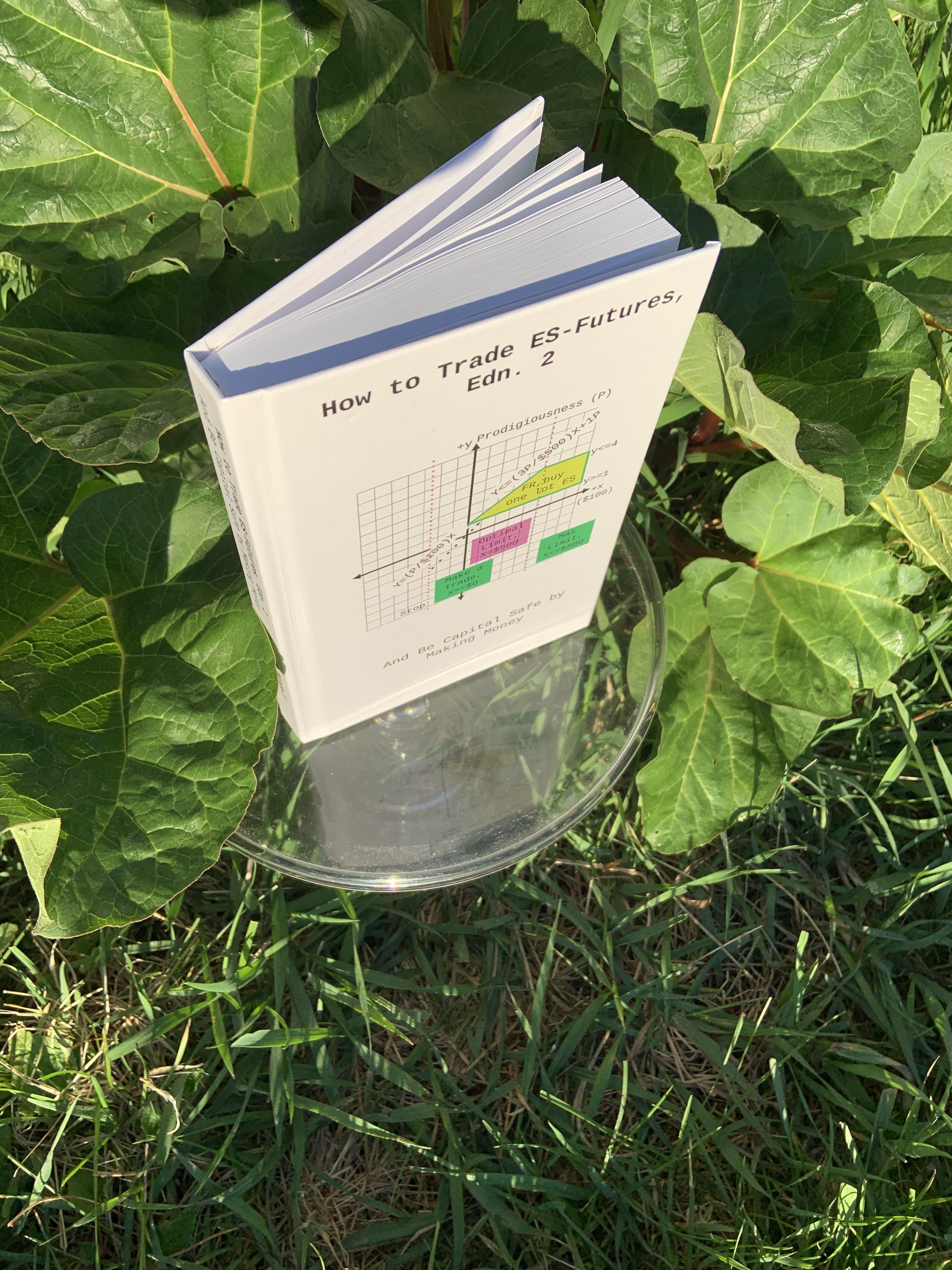 Promo picture of the book, How to Trade ES-Futures, Edn. 2 on a cake platter by a rhubarb plant.