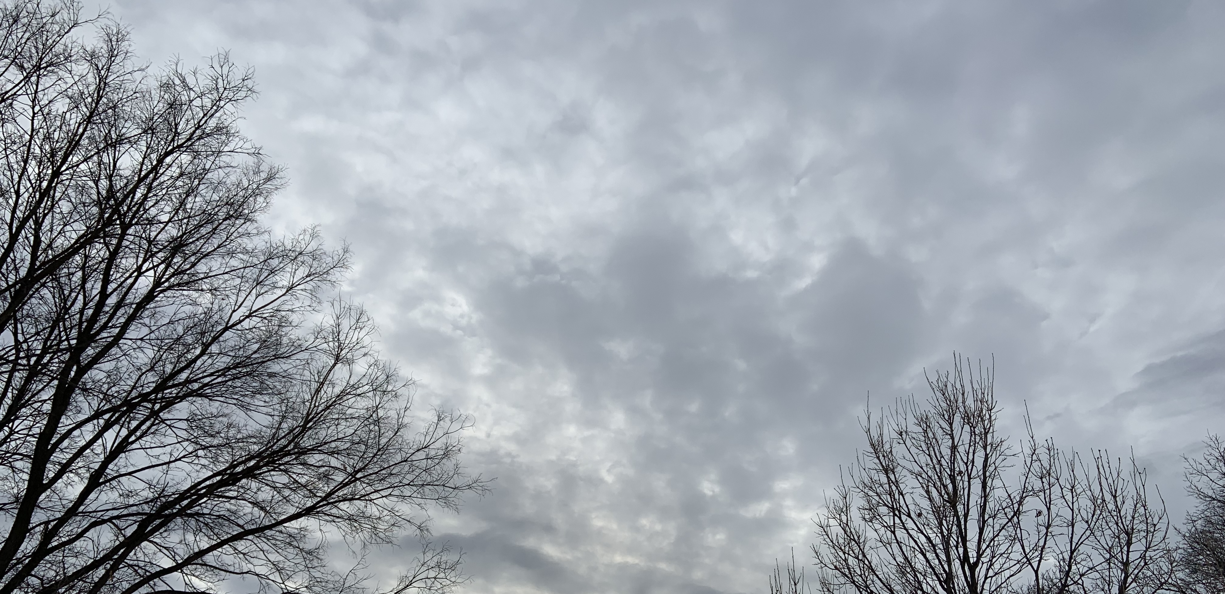 A face in the clouds, if you can find it.