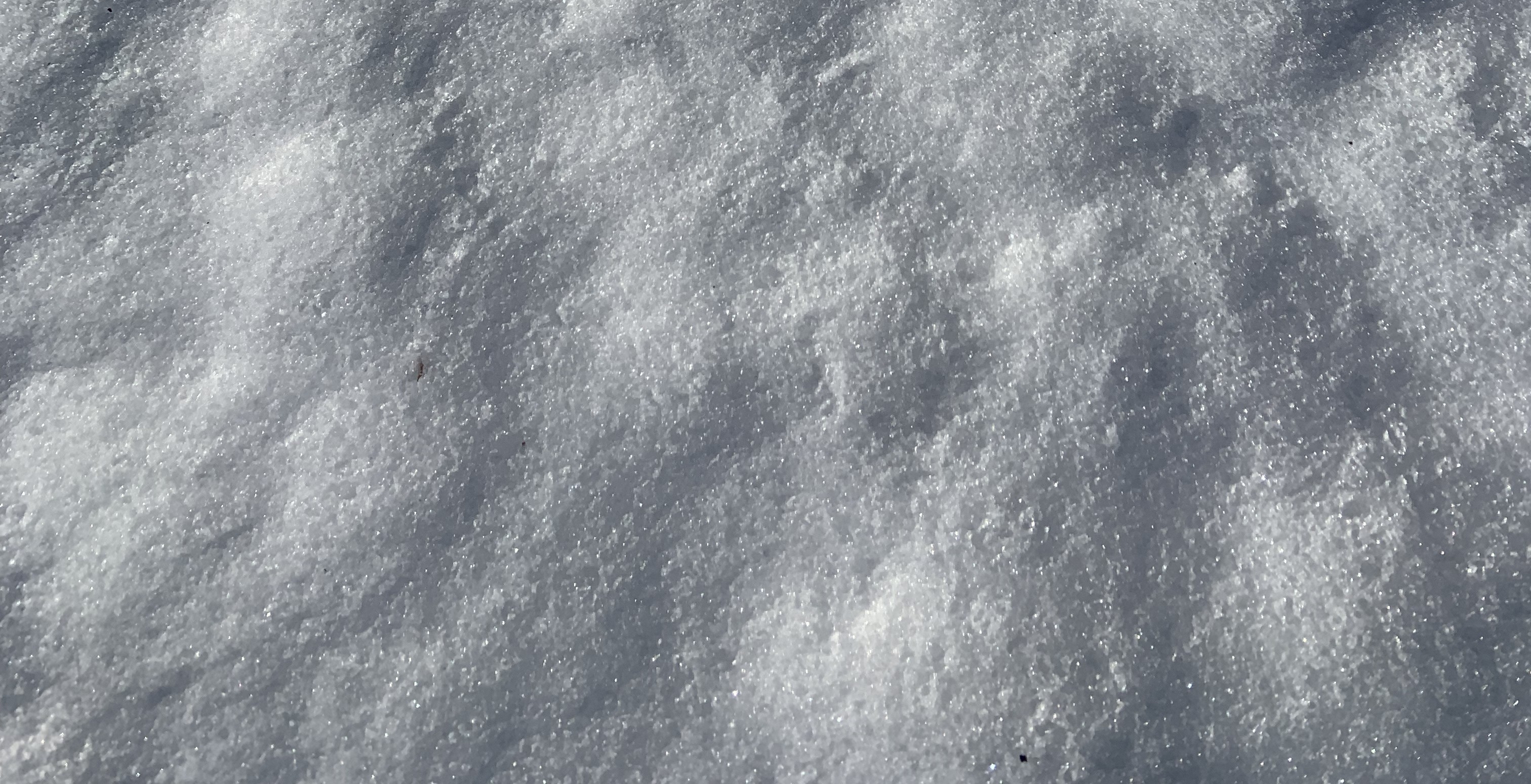 A close-up of more snow.