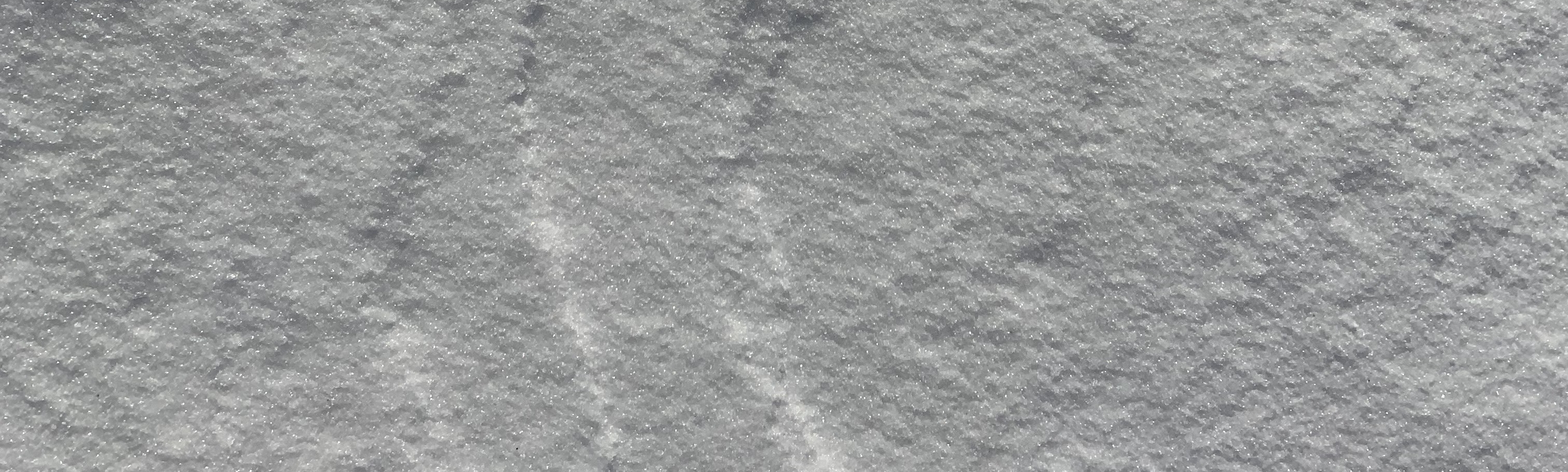 A close picture of more snow in the winter.