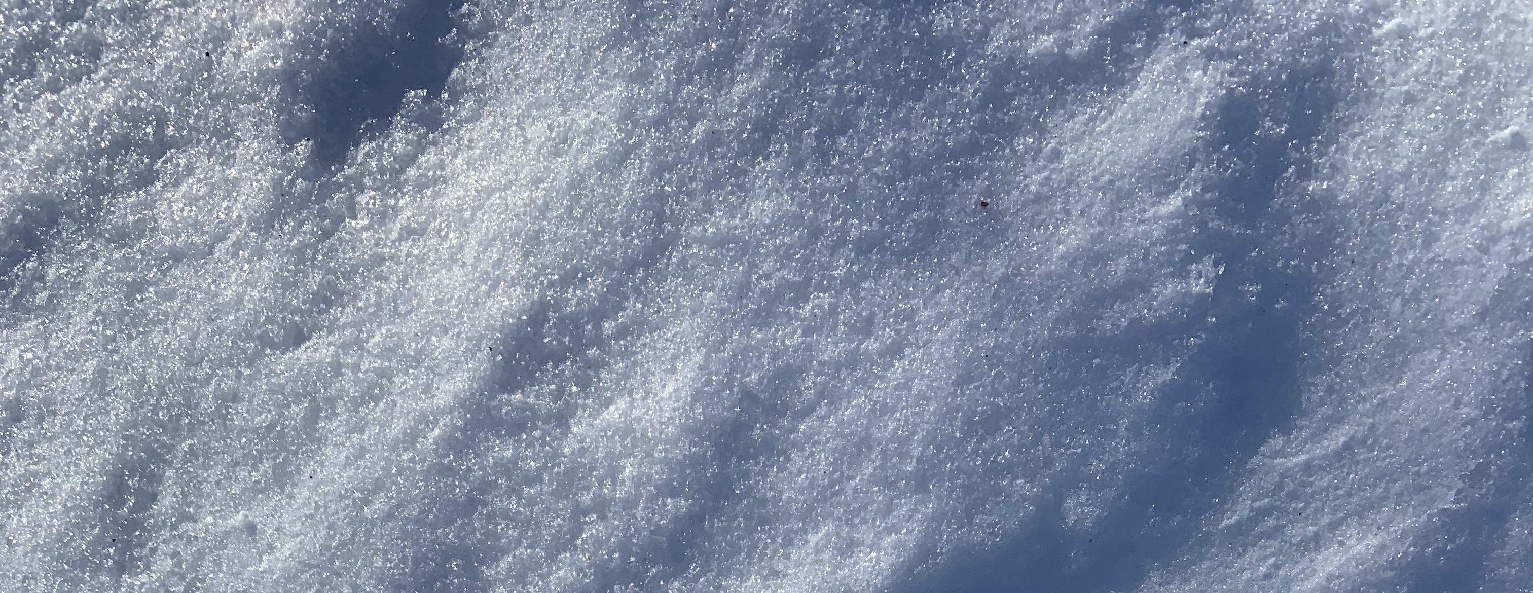 A close picture of snow in the winter.